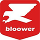 Motos Bloower Parrillero-Atv
